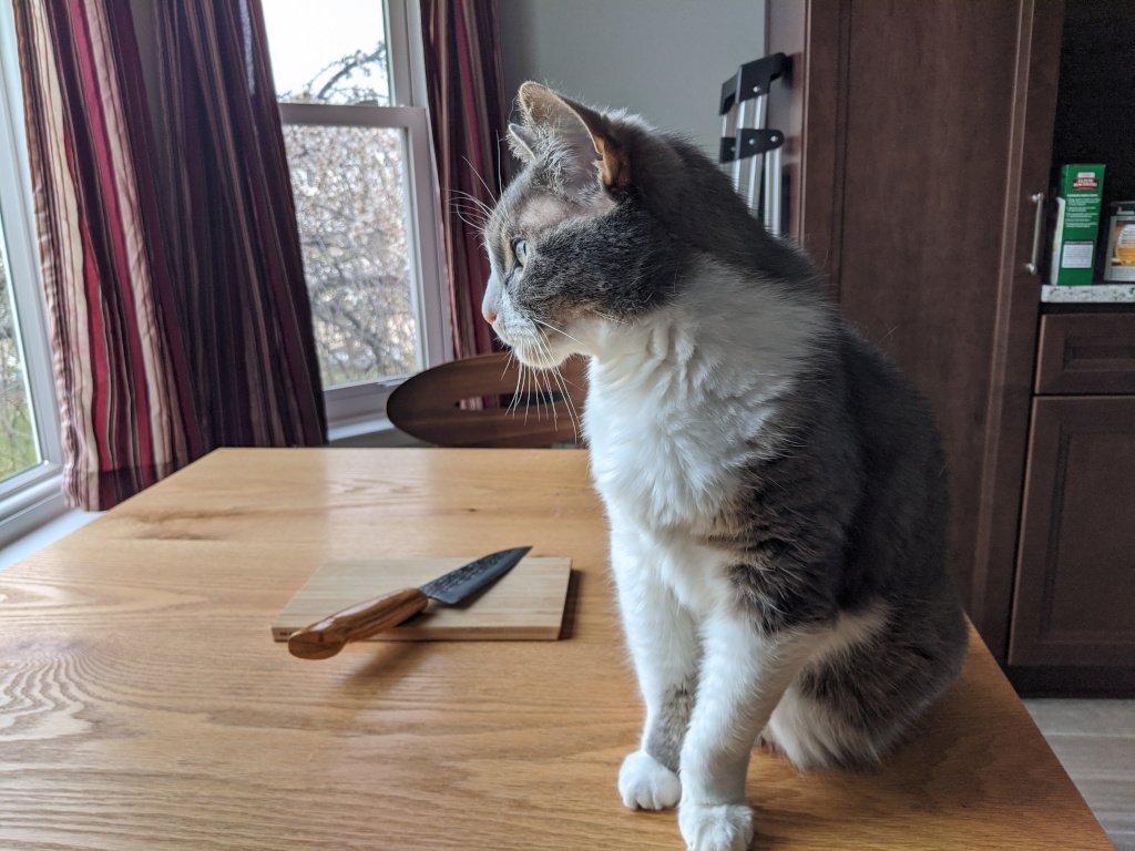 Host D&rsquo;Arcy is waiting to provide you with a dining experience free of rodents and small dogs.